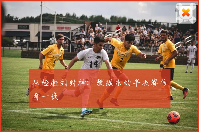 从险胜到封神：樊振东的半决赛传奇一夜