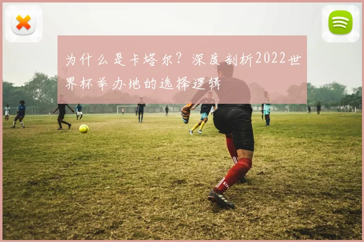 为什么是卡塔尔？深度剖析2022世界杯举办地的选择逻辑