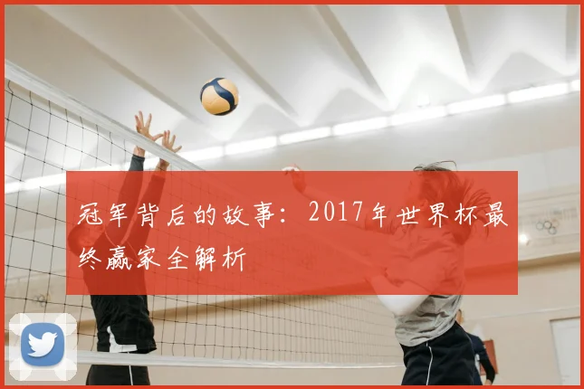 冠军背后的故事：2017年世界杯最终赢家全解析
