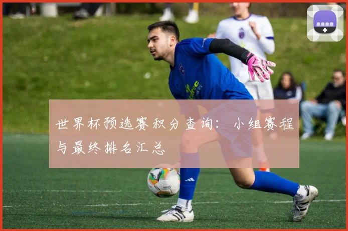 世界杯预选赛积分查询：小组赛程与最终排名汇总