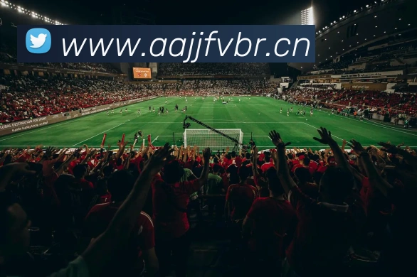 辅助工具 辅助工具